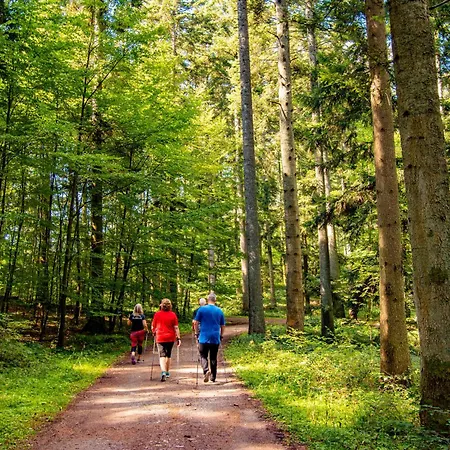 Vital- Und Wellnesshotel Albblick 4* Waldachtal