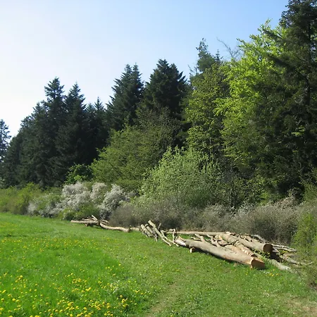 Hotel Vital- Und Wellnesshotel Albblick Waldachtal