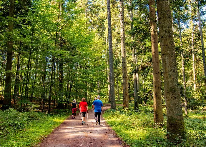 Vital- Und Wellnesshotel Albblick 4* Waldachtal