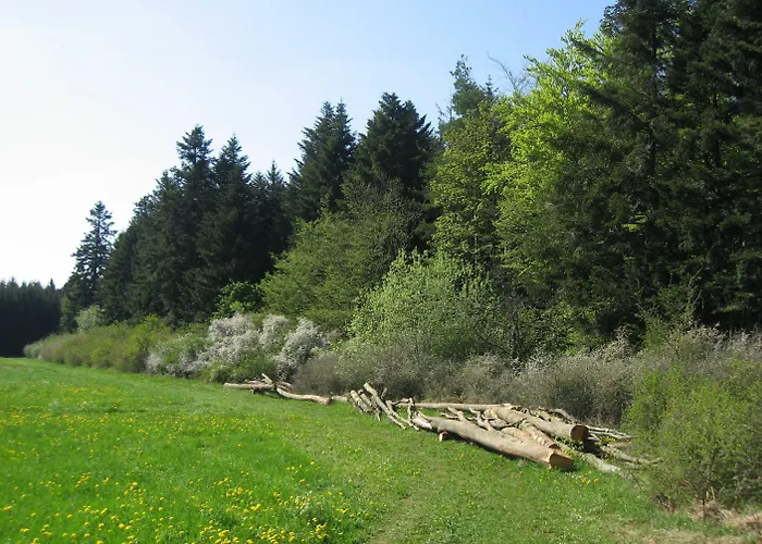 Hotel Vital- Und Wellnesshotel Albblick Waldachtal